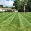 Indy Cutters Lawn Care