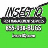Insect IQ