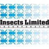 Insects