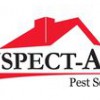 Inspect-All Services
