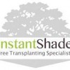 Instant Shade Tree