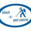 Intech Pest Control