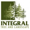 Integral Tree & Landscape
