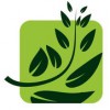 Interior Plantscapes