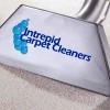 Intrepid Cleaners