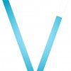 Vision Integration