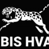 Irbis Hvac
