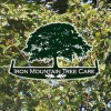 Iron Mountain Tree Care