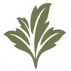 Jacobson Floral Supply
