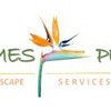 James Peck Landscape Services Palm Harbor