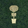 Janus Et Cie