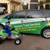 Jason's Tree Service