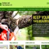 Jeff's Outdoor & Tree Services