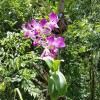 J &G Lawn & Garden