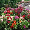 J & J Lawn Care & Landscape