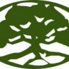 Jody's Tree Service