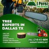 J Perez Tree Services