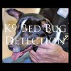 K9 Bed Bug Detection