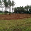 KBA Land Clearing