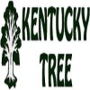 Kentucky Tree