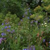 Kimberly Mercurio Landscape Architecture