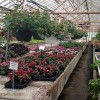 Kitch Greenhouses