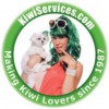 Kiwi Services Carpet Cleaning