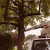 K & J Tree Service