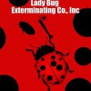 Lady Bug Exterminating
