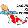 Laguna Koi Ponds