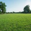 Barr Landscaping & Lawn Service