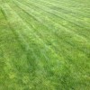 Landscape Technologies