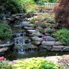 Landscape Techniques