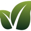 Landscaping By Legacy