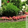 Affordable Lawn Care & Landscape