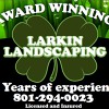 Larkin Landscaping