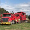 LaRoche Tree Service