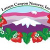Lassen Canyon Nursery