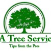LA Los Angeles Tree Trimming & Removal Service
