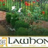 Lawhon Rex Horticultural Spray & Lawn Service