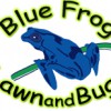 Blue Frog Lawn & Bugs
