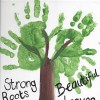 Boyd & Son Lawn Care/Fort Worth Lawn & Fence