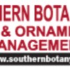 Southern Botany