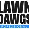 Lawn Dawgs