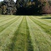 Lawn Impressions