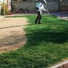 LawnLift™ Grass & Mulch Paints