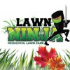 Lawn Ninja Residential Lawn Care