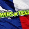 Lawns Of Texas