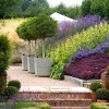 Lawson Landscaping