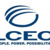Lee County Electric